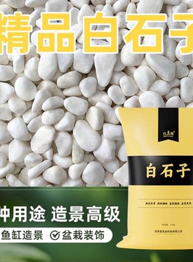 多肉铺面白色石头50斤白石子养花盆栽铺面石庭院室内造景观白石子
