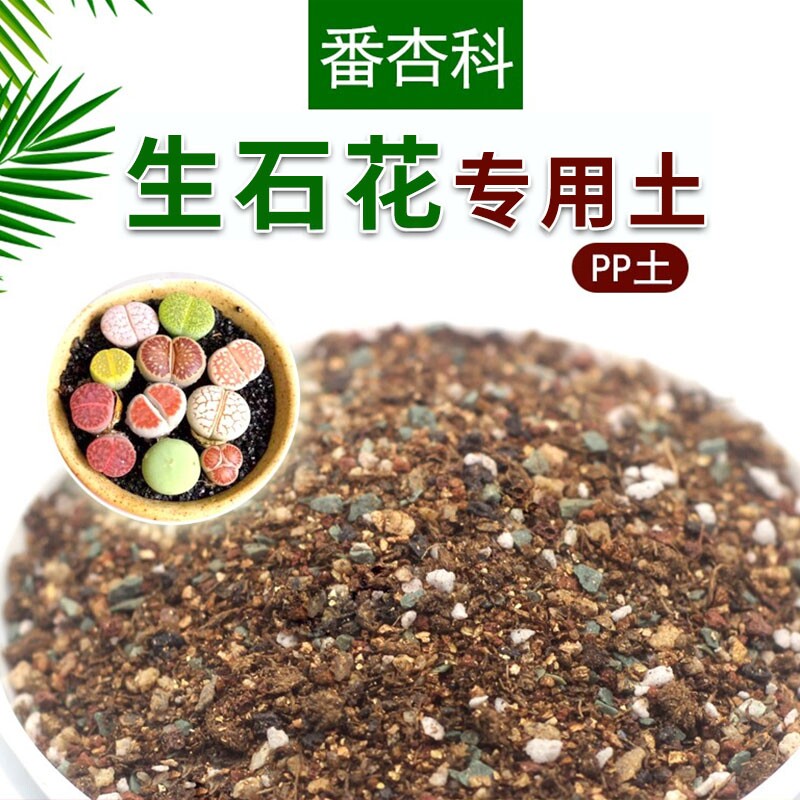 百土集生石花专用土番杏类肉锥类多肉植物颗粒土屁屁花播种专用土