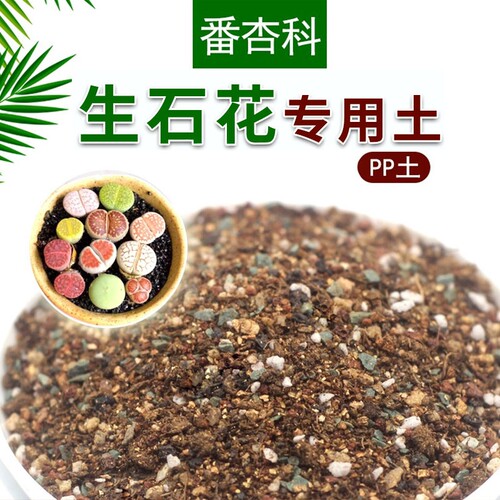 生石花屁屁花番杏类肉锥类专用土