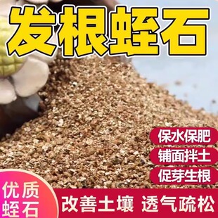 蛭石铺面扦插颗粒专用土珍珠岩养花发根育苗爬宠孵化用养花生根