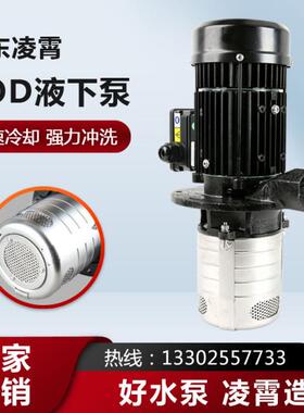 凌霄COD2-40浸入式机床液下泵 液压机油不锈钢立式泵单相磨床加工