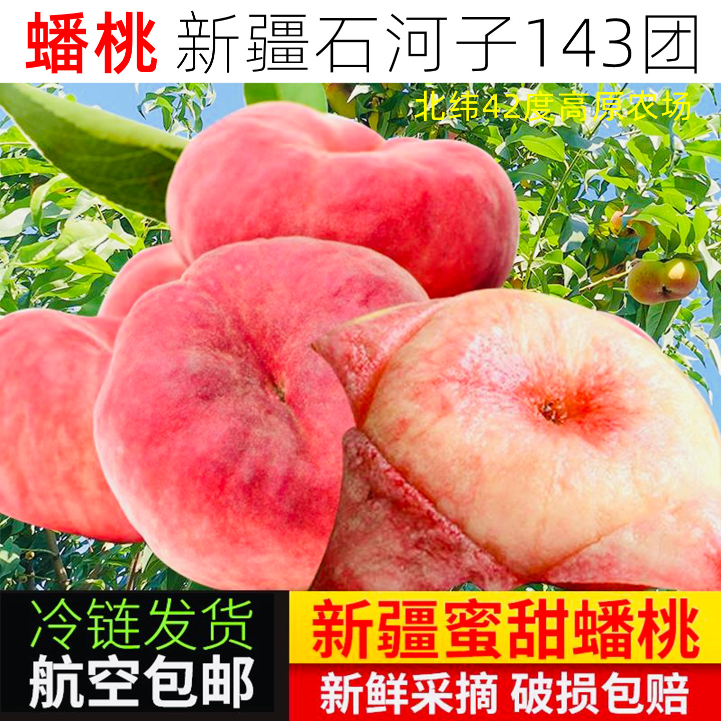 蟠桃新疆石河子143团蟠桃