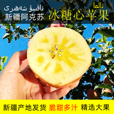 正宗新疆阿克苏红旗坡冰糖心苹果10斤新鲜水果应当季大果整箱礼盒