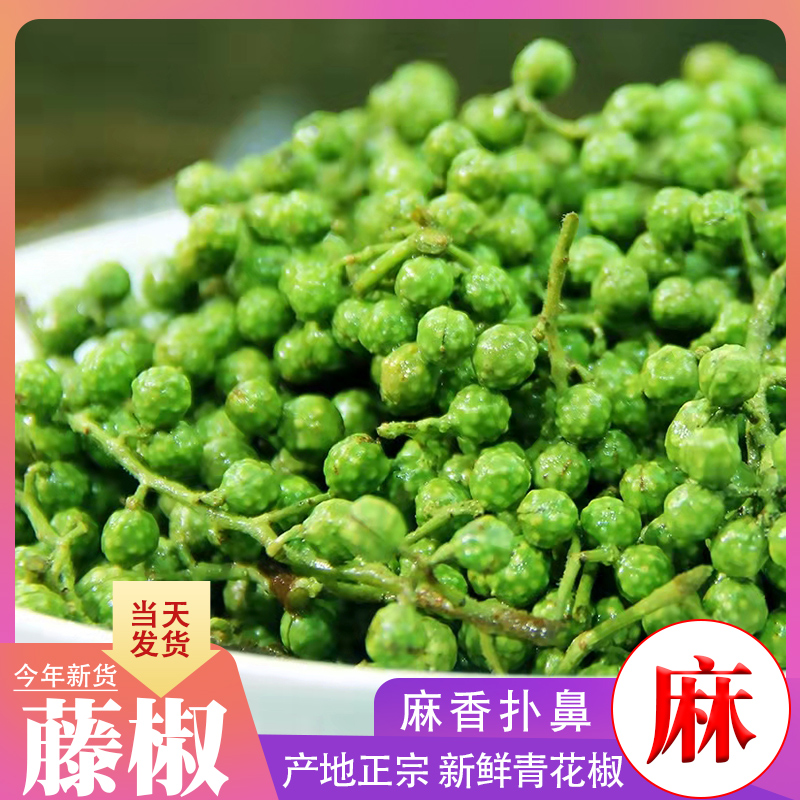 新鲜青花椒四川保鲜藤椒 真空保鲜生麻椒 特产新花椒鲜嫩花椒