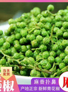 新鲜青花椒四川保鲜藤椒 真空保鲜生麻椒 特产新花椒鲜嫩花椒