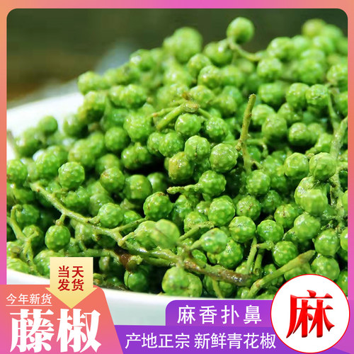 新鲜青花椒四川保鲜藤椒 真空保鲜生麻椒 特产新花椒鲜嫩花椒