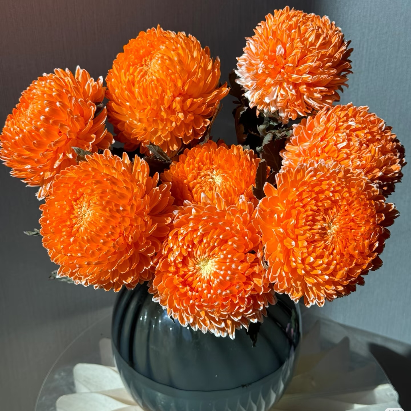 牡丹菊爱马仕橙5 云南昆明直发