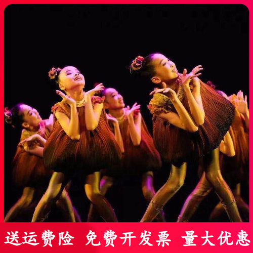 小种子儿童舞蹈元旦表演服