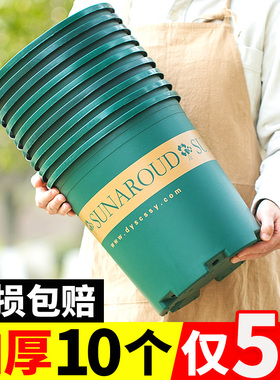 兰花花盆专用塑料加厚特大号盆栽蝴蝶兰大口径带托盘树脂透气家用