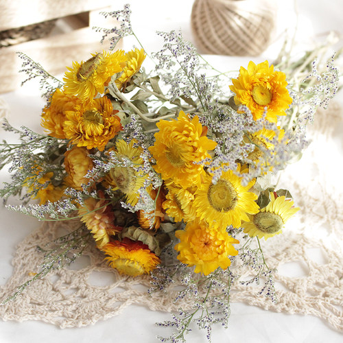 雏菊七彩菊天然干花蓝星球