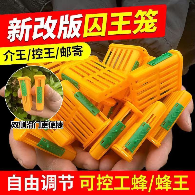 多功能囚王笼塑料防逃工具中意蜂专用介王笼装蜂王储王器隔王工具