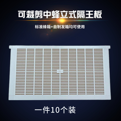 新型塑料中蜂立式隔王板隔王栅防跑片防逃框养一件10个快递包邮