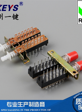 PBS-42H18-15S2A按键/琴键开关 2双联12脚带锁互锁 带架有孔按压