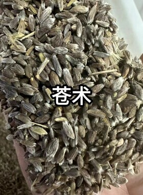 野生苍术种籽北子正品中药材