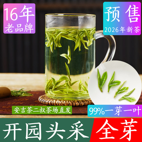 现货2026年全嫩芽白茶开园头采