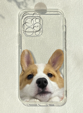 萌萌柯基狗适用苹果16/15promax华为nova10/mate60e小米14荣耀70/80可爱reno9创意vivos15e透明手机壳情侣潮