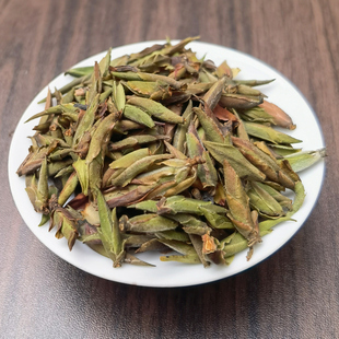 2024云南荒野紫芽孢茶大雪山高山雪芽古树茶普洱茶生茶紫芽苞250g