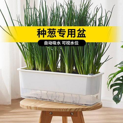 阳台长方形自吸水种菜花盆