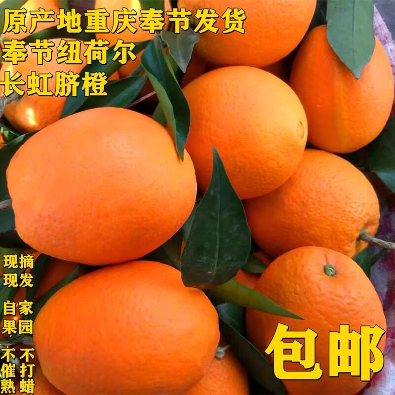 正宗奉节脐橙重庆孕妇水果纽荷尔