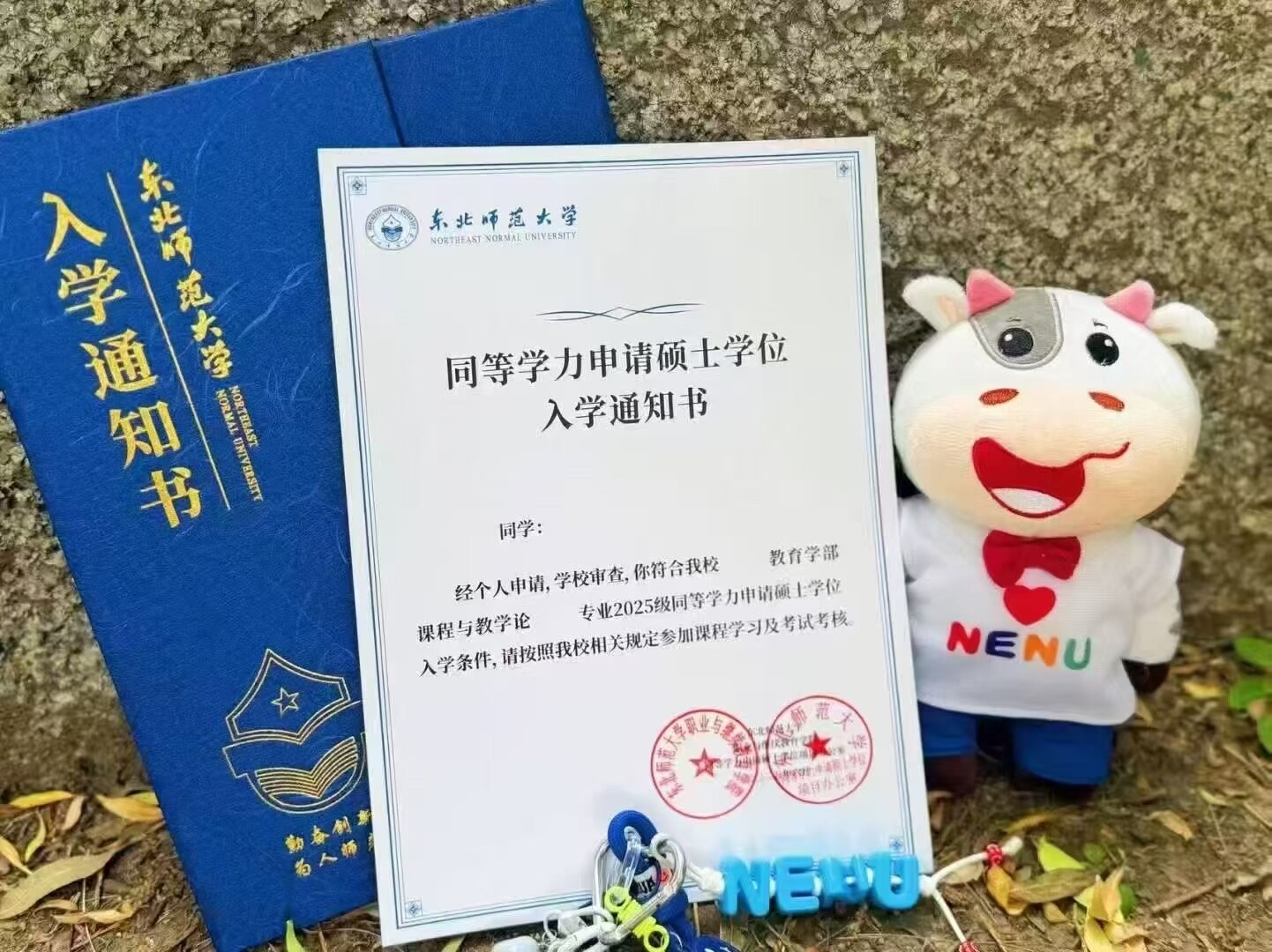 同等学力申硕博士硕士本科民办在职研究生海外留学定制申请