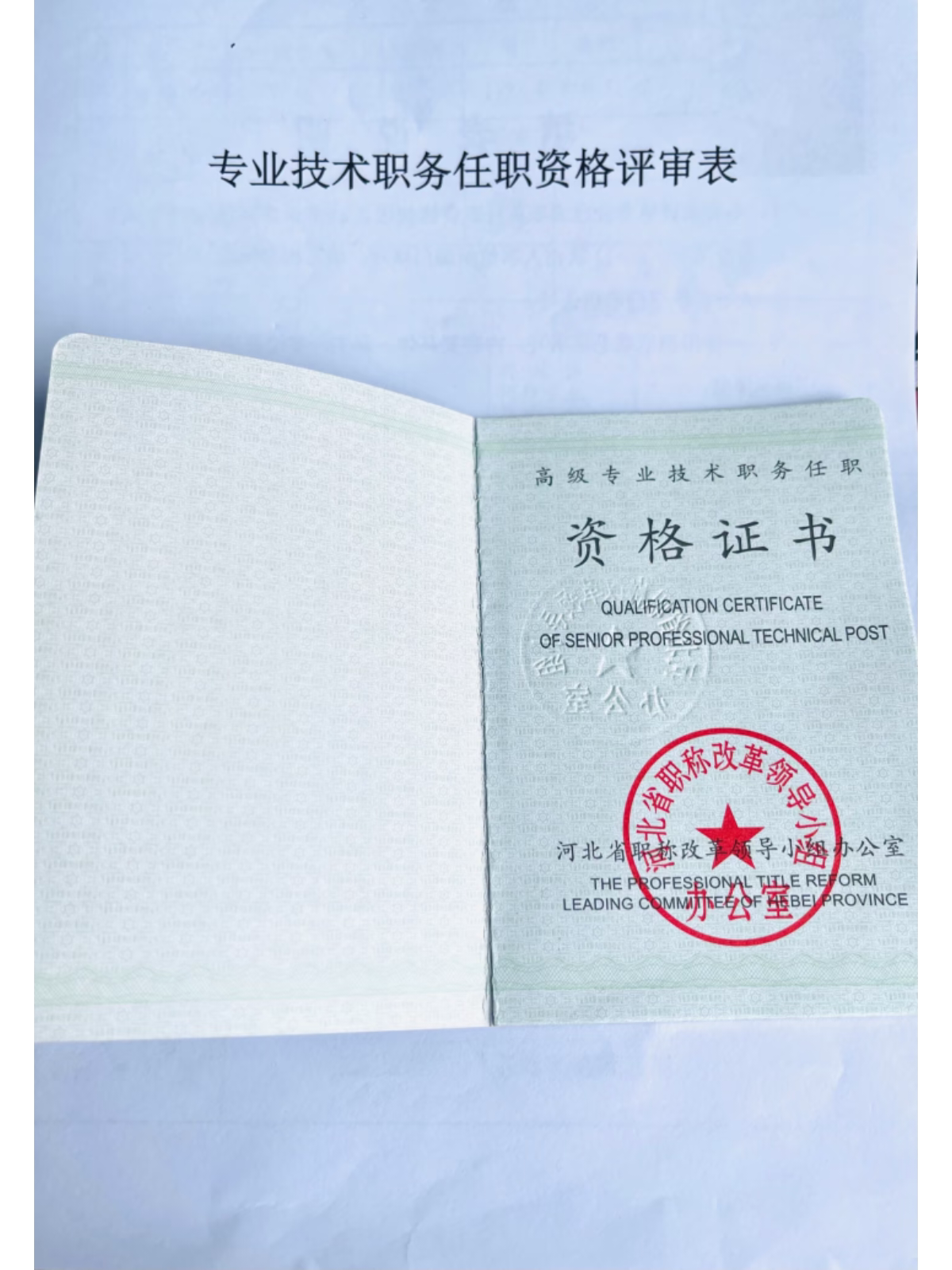 职称申报高级职称评审建筑家政河北辽宁湖北山东定制不是空白