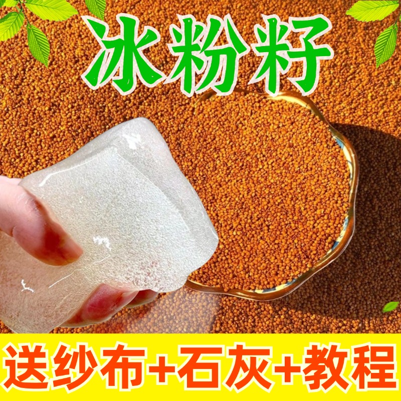 四川手搓冰粉籽做手工冰粉凉粉籽木瓜籽商用摆摊冰粉材料配料全套