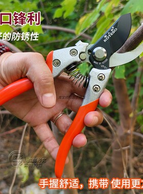 老人头修枝剪KOTESO剪刀V8大号剪盆栽花卉修枝剪果树修枝手剪耐用