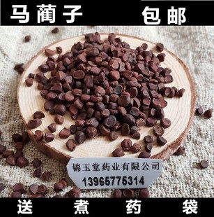 马蔺子中药材 新货庵闾子 菴闾子  500克包邮 马兰子马楝子
