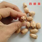 野生四眼果干核 中药材野生四眼果 四眼果10个酸枣菩提子