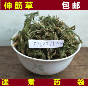中药材伸筋草 新货野生 泡脚 500克 包邮 另售 远志 益智仁