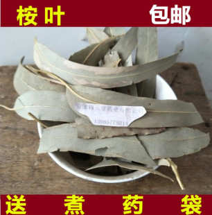 中药材桉树叶 新货 500g 包邮小桉树大叶 按树叶 桉叶 大叶桉