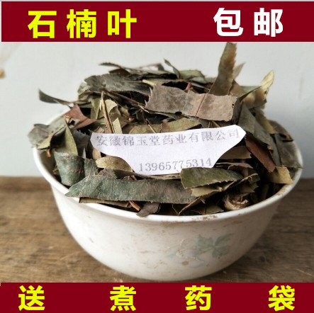 中药材石楠叶 石楠叶新货 包邮500克  石南叶 红树叶 石岩树叶