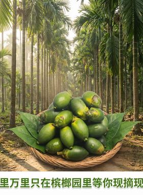 海南陵水槟榔青果500g现摘现发真空独立包装新鲜槟榔嫩果农家自产