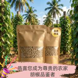 海南特级白胡椒颗粒正宗手工筛选大坡镇原产地天然无硫熏增香提味