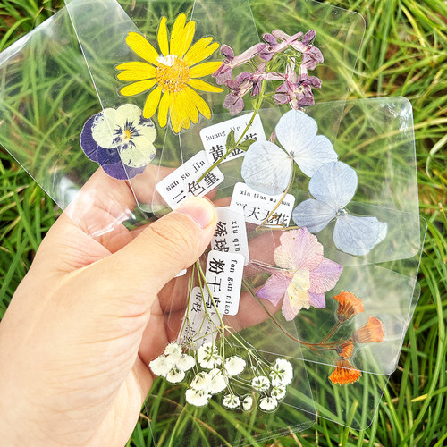 治愈系天然植物标本塑封复古真花真叶手工书签送朋友手账装饰礼物