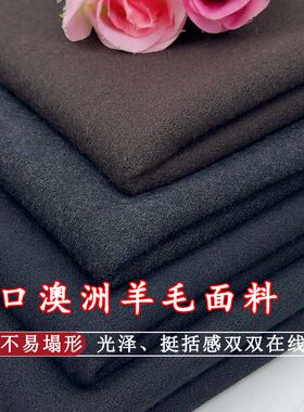 秋冬澳洲进口羊毛绉纱肌理感小众设计师奢华手工大衣外套面料