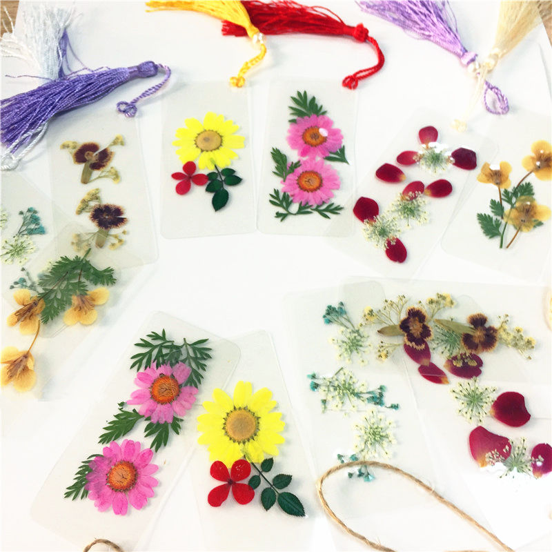 过塑膜 干花书签 植物标本书签 植物干花标本文艺书签创意书签