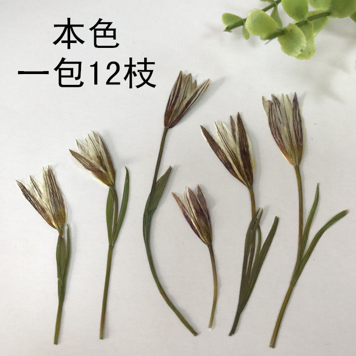 干花压花押花画框火漆diy手工