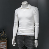 L25203P135秋冬燕子领V领长袖羊毛衫毛衣针织衫套头打底衫，男装针织衫/毛衣，电商D207