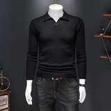 L25203P135秋冬燕子领V领长袖羊毛衫毛衣针织衫套头打底衫，男装针织衫/毛衣，电商D207