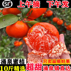 正宗临海涌泉蜜桔应季新鲜水果橘子10斤整箱黄岩蜜桔旗舰店