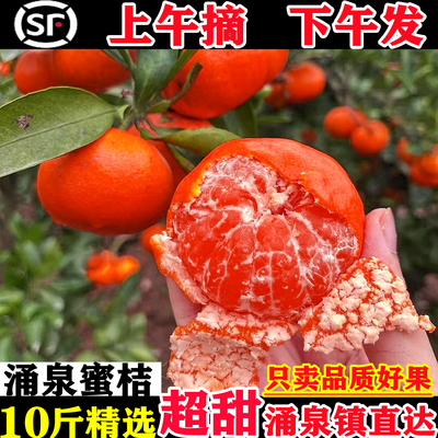 【品质优选】正宗涌泉蜜桔新鲜甜