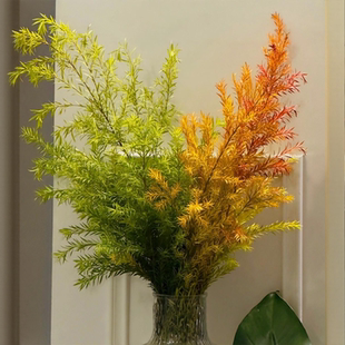 千层黄金香柳云南直发基地鲜花室内水培办公室客厅插花干花