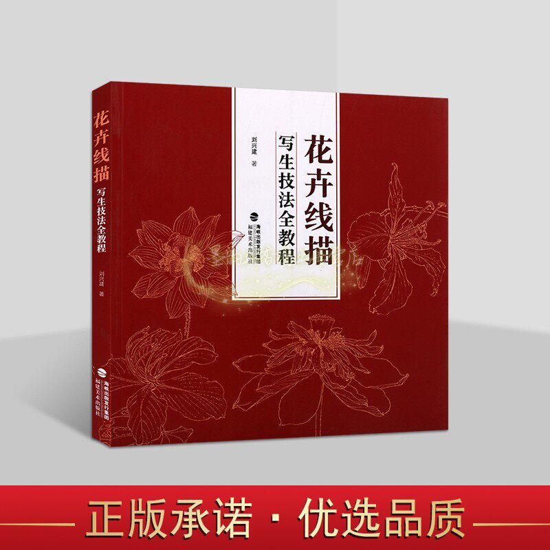 花卉线描写生技法全教程 刘兴建著中国国画绘画白描技法花卉写生步骤图藤蔓花卉教学画范 福建美术出版社书