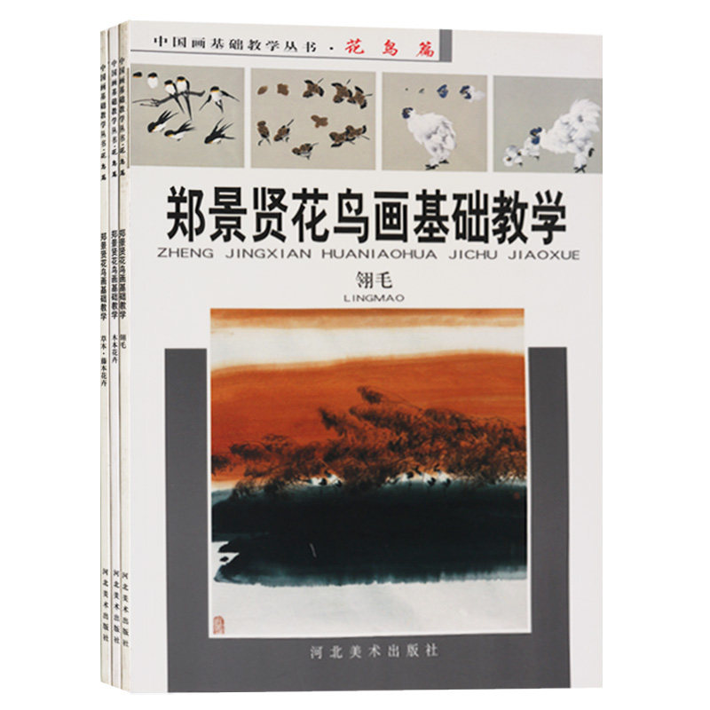 正版 中国画基础教学丛书 花鸟篇(共3册)翎毛 木本花卉 草本藤本花卉 河北美术出版社