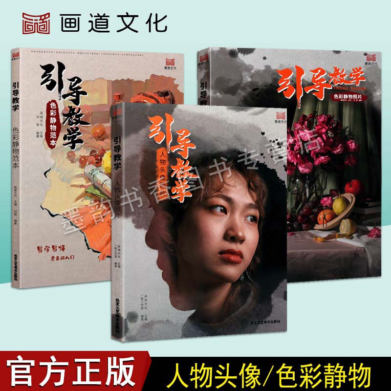 画道文化引导教学系列色彩静物范本(三卷)色彩静物范本色彩静物照片