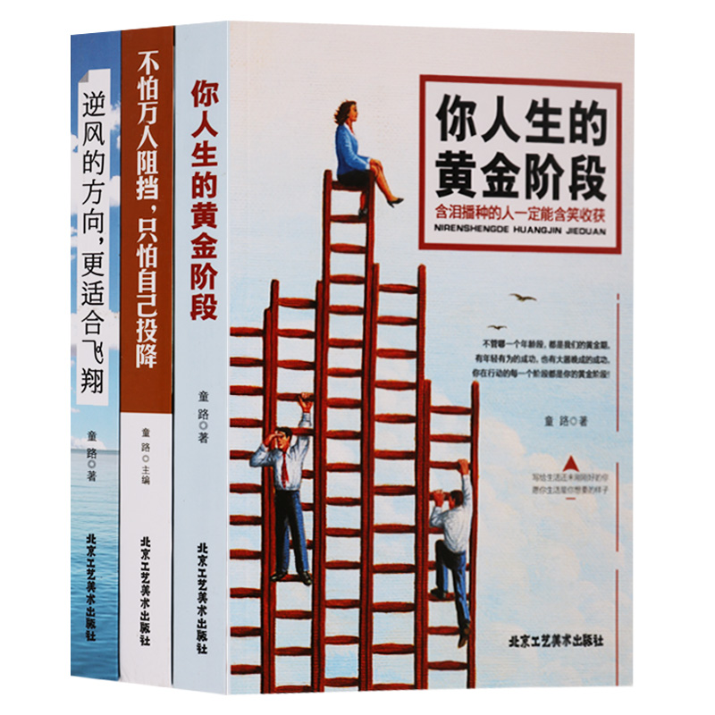 正版 童路著 励志书（共3册）你人生的黄金阶段、不怕万人阻挡只怕自己投降、逆风的方向更适合飞翔 北京工艺美术出版社
