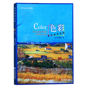 正版 美术教学全程 色彩 张磊,聂鸿立  山东美术出版社
