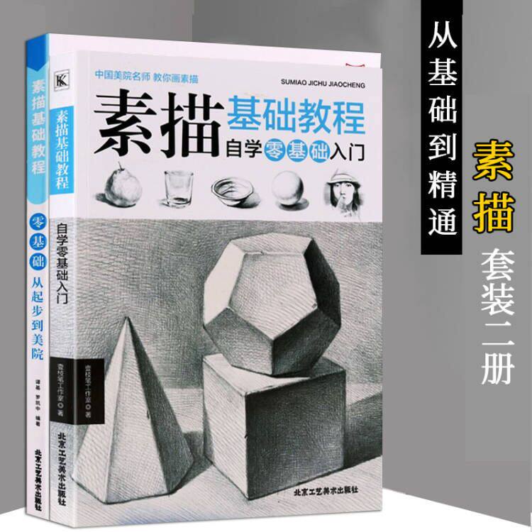 素描基础教程（套装2册）自学零基础入门素描基础教程从入门到精通素描基础教程从起步到美院 初学者素描入门书教程 四川美术