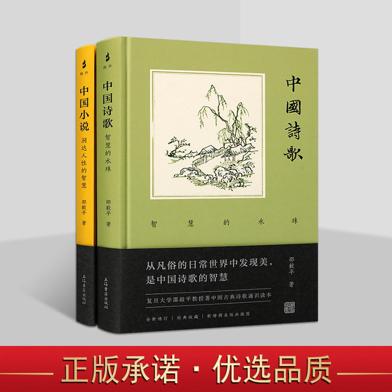 邵毅平文学著作(套装2册)中国小说+中国诗歌 古典文学欣赏作品集 上海古籍出版社